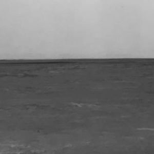 Meet your Posher, Addison